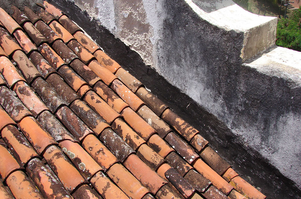 Portfolio slider image